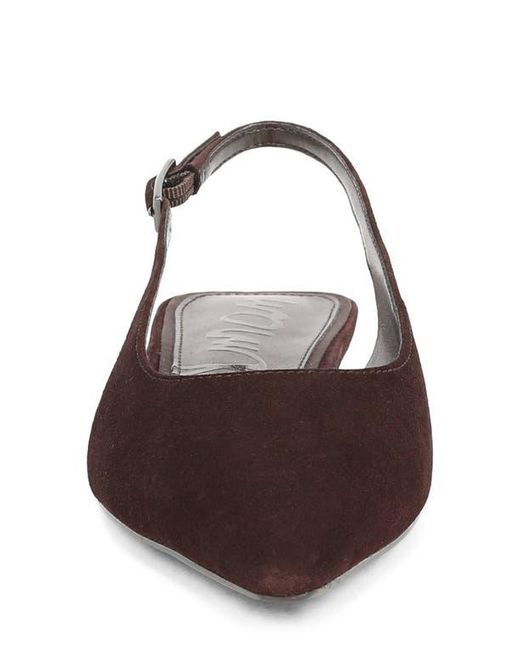 Sam Edelman Brown Netty Slingback Pointed Toe Flat