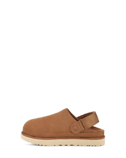 Ugg Brown Goldenstar Clog Suede Shoes