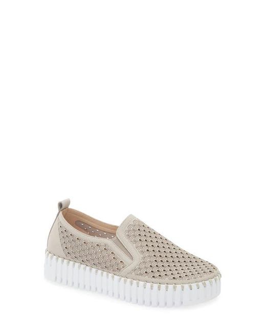 Ilse Jacobsen Gray Tulip Slip-On Sneaker