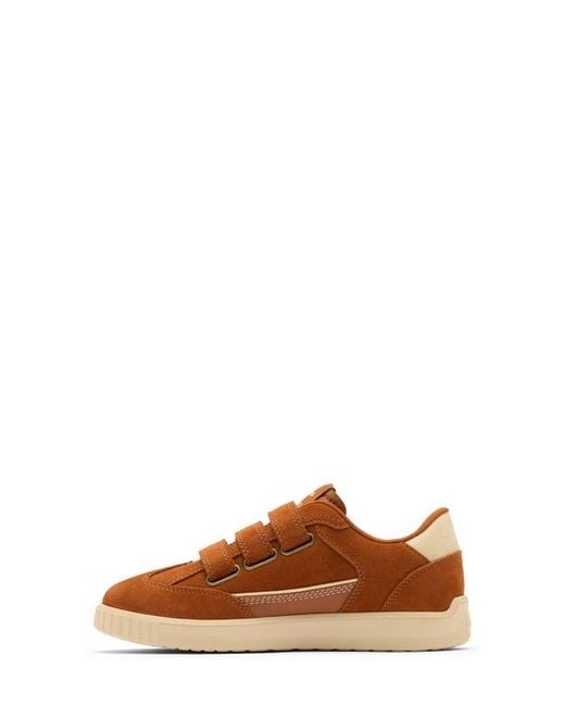 Sorel Brown Ona Drift Strap Sneaker