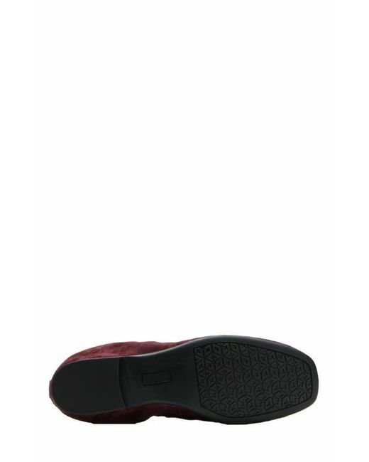 ABEO Brown Cadence Bow Ballet Flat