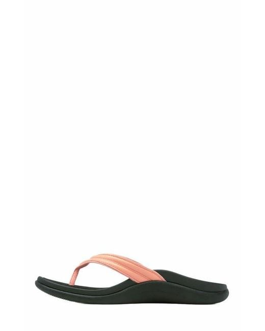 ABEO Multicolor Laguna Thin Strap