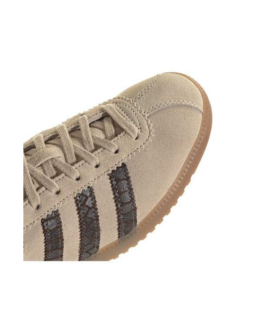 Adidas Multicolor Brmd Sneaker