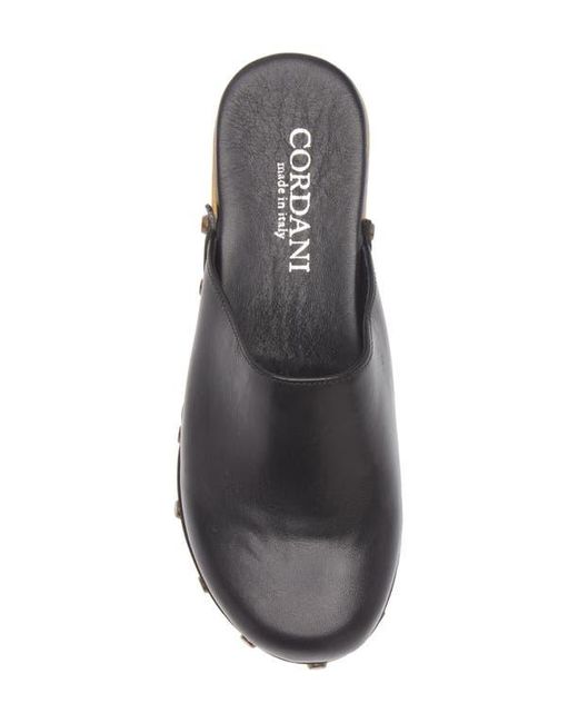 Cordani Gray Wilka Platform Mule