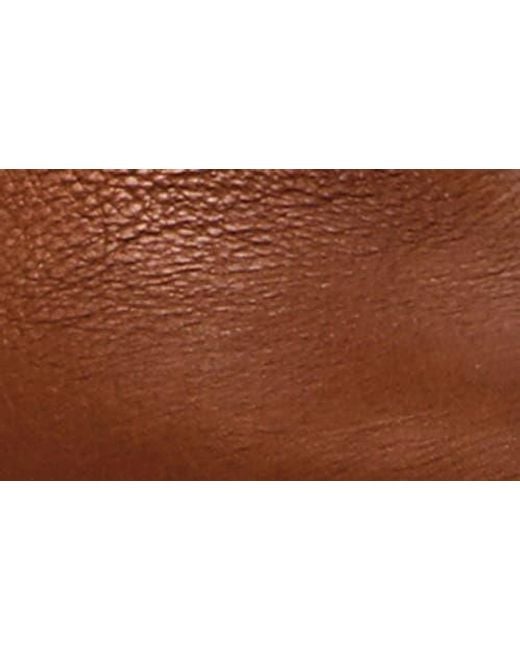 Steve Madden Brown Woodstock Knee High Boot
