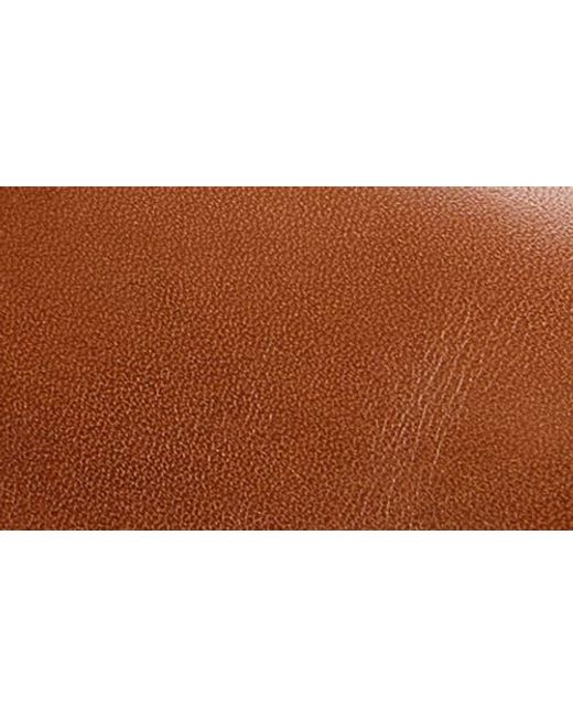 Fluchos Brown Asgard Plain Toe Derby for men