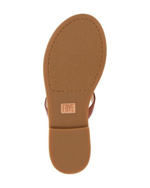 Frye Brown Taylor Logo Sandal