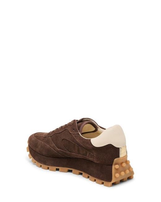 Dolce Vita Brown Tricia Sneaker