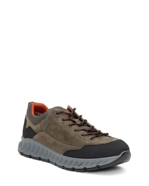 Ara Brown Petro Waterproof Sneaker for men