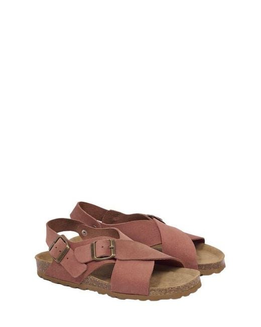 Celtic & Co. Brown Crossover Buckle Sandal