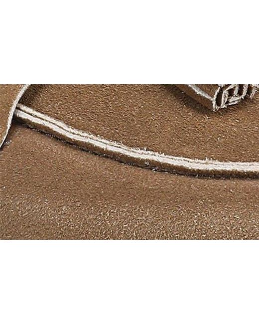 Sam Edelman Brown Astrid Tassel Loafer