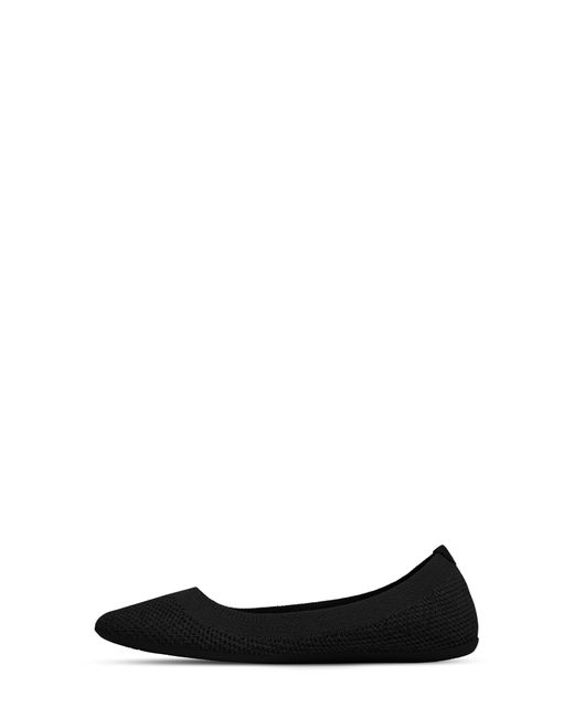 allbirds tree breezer