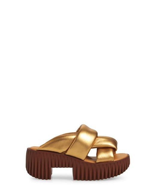 4Ccccees Brown Plia Semo Platform Sandal