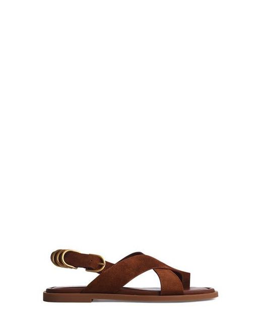 Rag & Bone Brown Gia Toe Loop Sandal