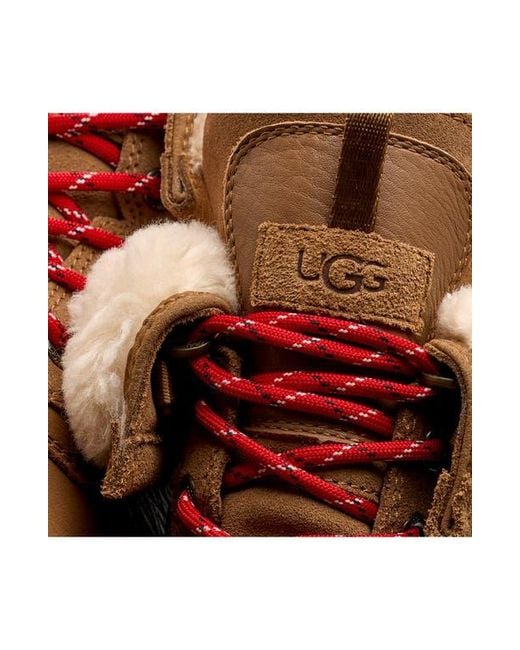 Ugg Brown Adirondack Xxv Waterproof Boot