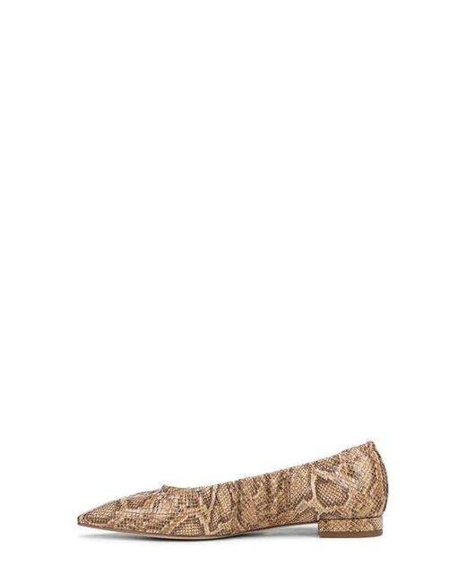 Sam Edelman Brown Essex Pointed Toe Flat