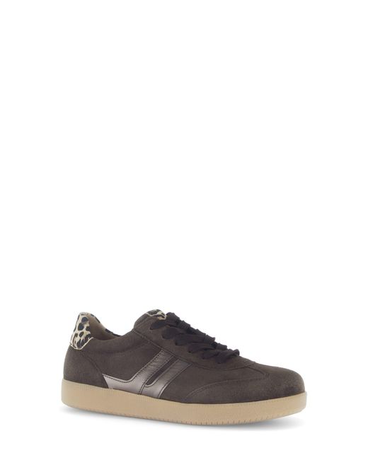 Gabor Brown Low Top Sneaker