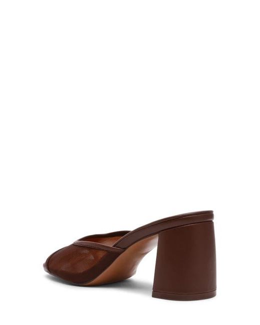 Steve Madden Brown Madame Block Heel Sandal