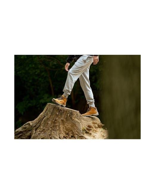 Timberland Natural Ledge Waterproof Hiking Boot for men