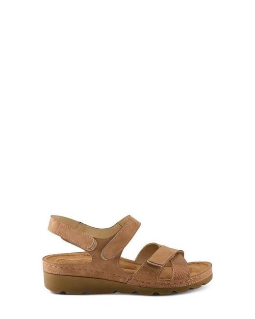 Flexus by Spring Step Brown Orwell Sandal
