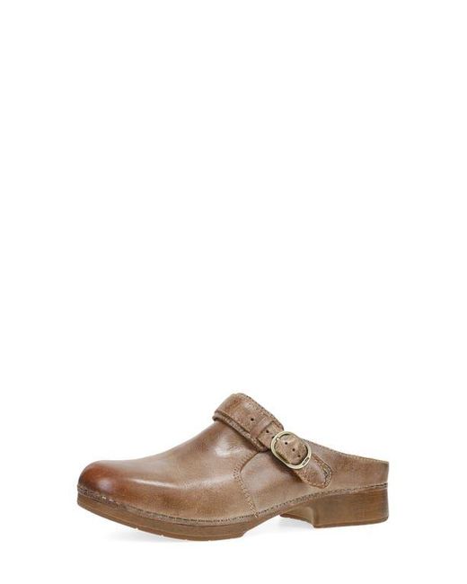 Dansko Brown Millie Mule