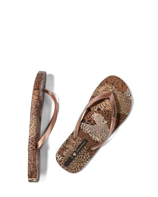 Ipanema Brown Animal Print Vi Flip Flop