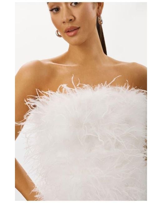 Lamarque White Triana