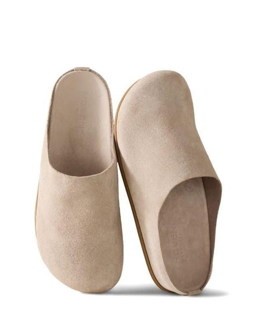Haven Well Within Natural Suede Clogs