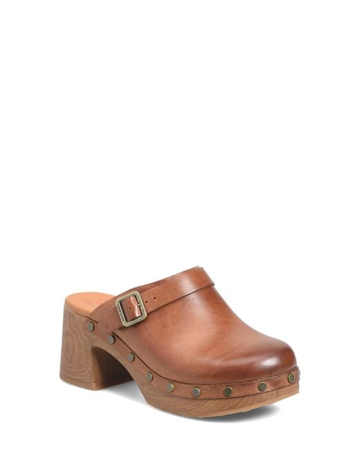 Kork-Ease Brown Tess Studded Clog