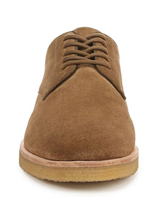 Vince Brown Westwood Plain Toe Derby for men
