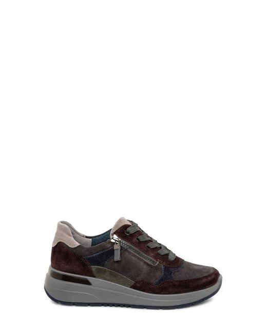 Ara Brown Gardenia Sneaker