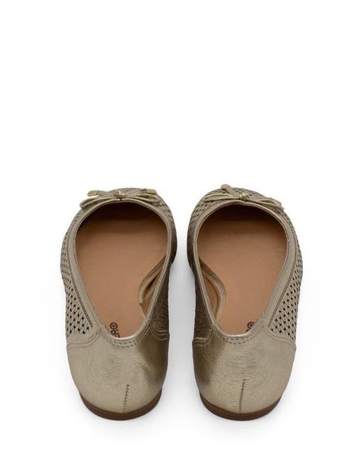 BOTTER Brown Botsamya Ballet Flat