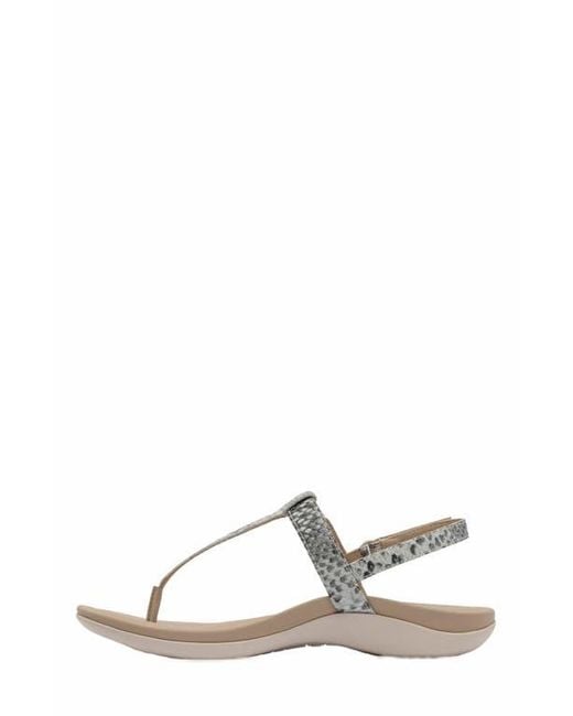 ABEO Metallic Oasis T Strap Sandal