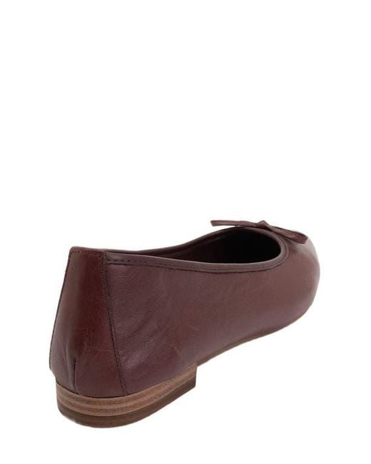 Forever & Always Shoes Multicolor Ruby Leather Pointed Toe Flats