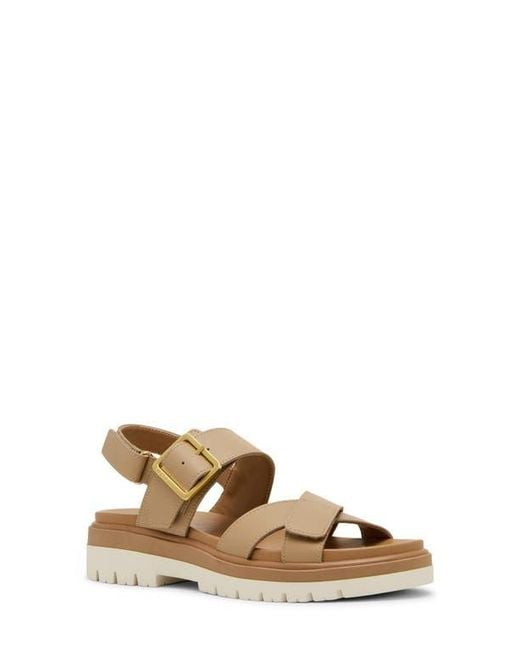 Blondo Brown Beau Sandal