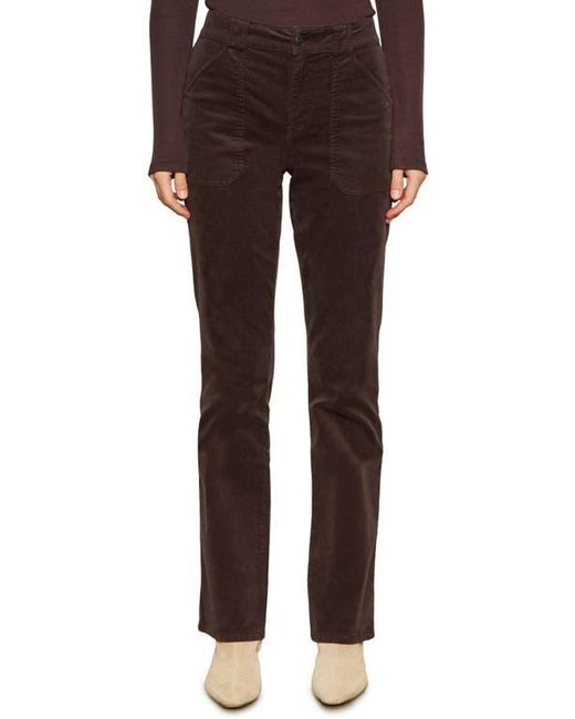 Sanctuary Brown Hayden Bootcut Corduroy Pants