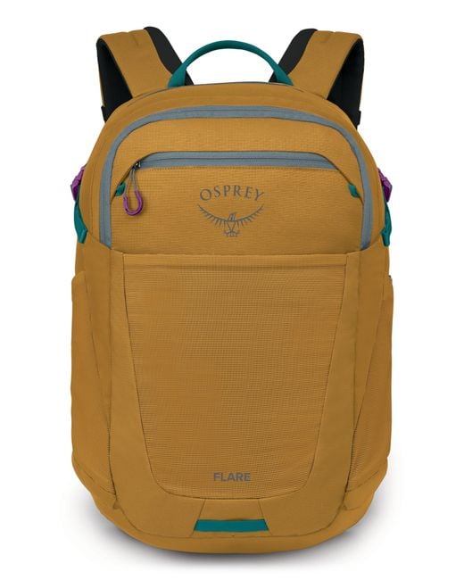 Osprey Multicolor Flare 27-Liter Backpack