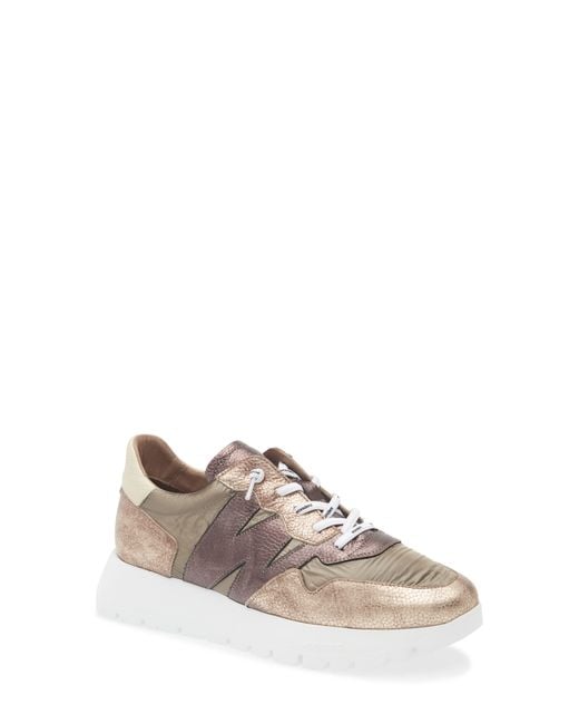 Wonders Gray A-2491 Sneaker