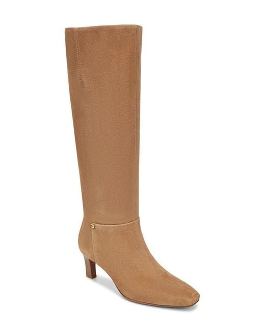 Franco Sarto Brown Timmy Knee High Boot