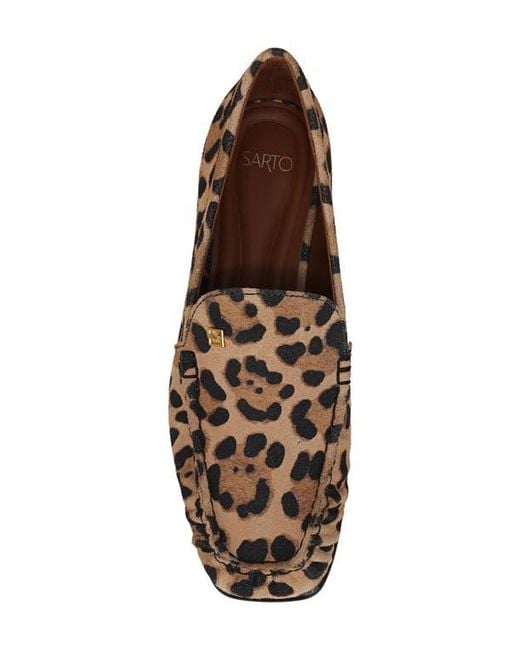 Sarto Brown Lainey Loafer