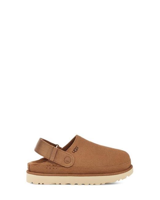 Ugg Brown Goldenstar Clog Suede Shoes