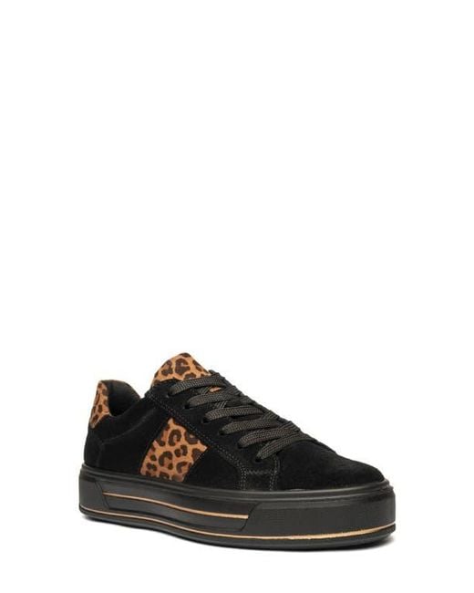Ara Black Conifer Sneaker