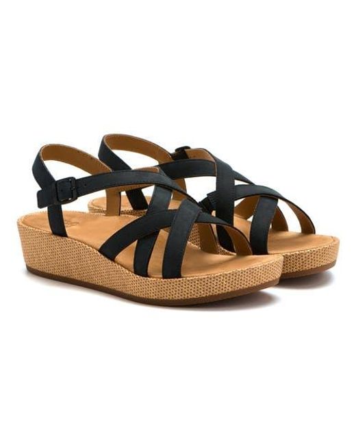 ABEO Blue Soleil Cross