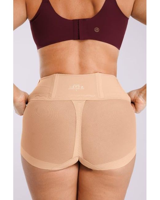 Shapellx Purple Mesh Smooth Butt-Lifting Brief