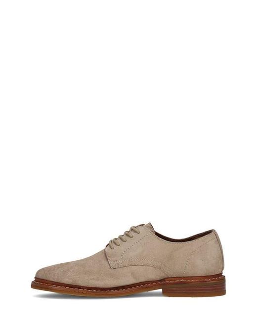 Frye Brown Paul Suede Plain Toe Derby for men