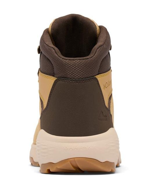 Columbia Natural Newton Wander Waterproof Hiking Boot for men