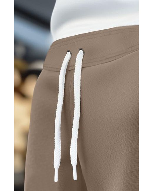 Alix Brown Alien Midweight Fleece Jogger Pant for men