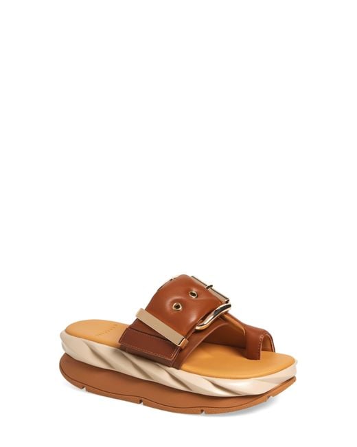 4Ccccees Brown Mellow Glow Toe Loop Sandal