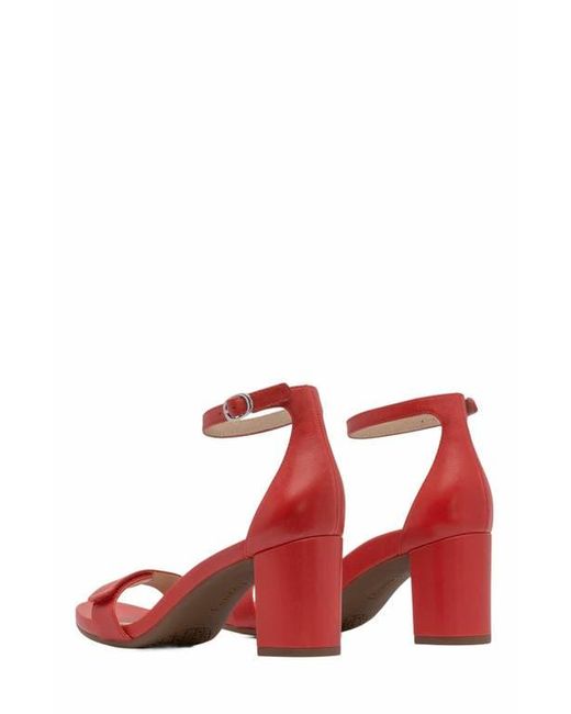 ABEO Brown Tempo Strap Heels