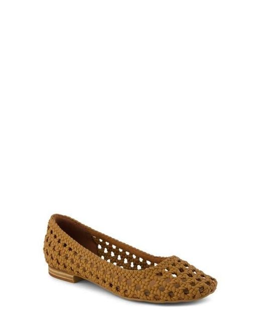 TOMS Brown Briella Flat